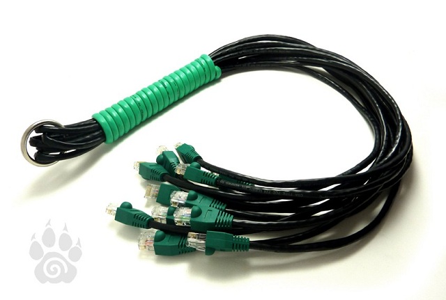 http://hotlink.guivy.fr/rj45_whip.jpg